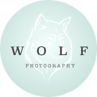 Wolf Photography