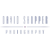 David Shopper Photography Company Logo by David Shopper in Ipswich MA